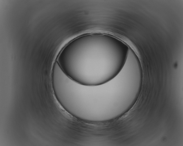 X0000091691388200708231121