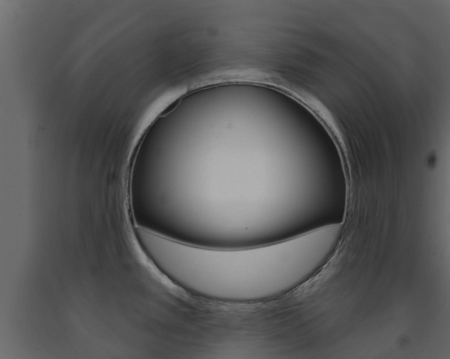 X0000091691389200708231121