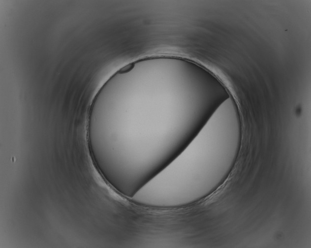 X0000091691390200708231121