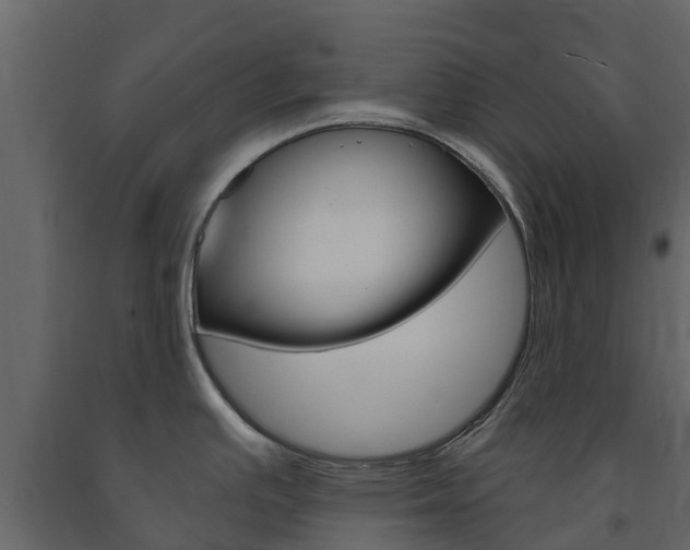 X0000091691391200708231121