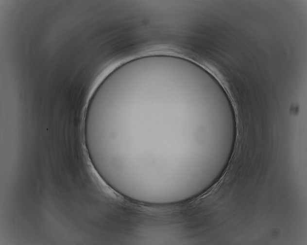 X0000091691392200708231121