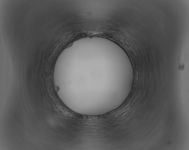 X0000091691393200708231120
