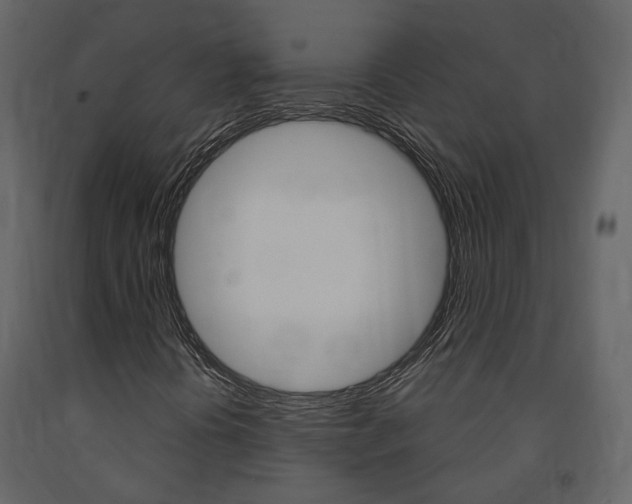 X0000091691394200708231120