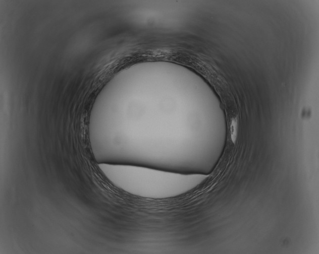 X0000091691395200708231120