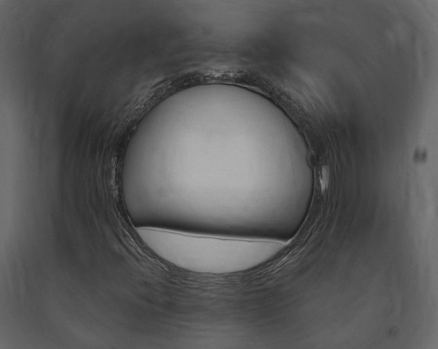 X0000091691396200708231120