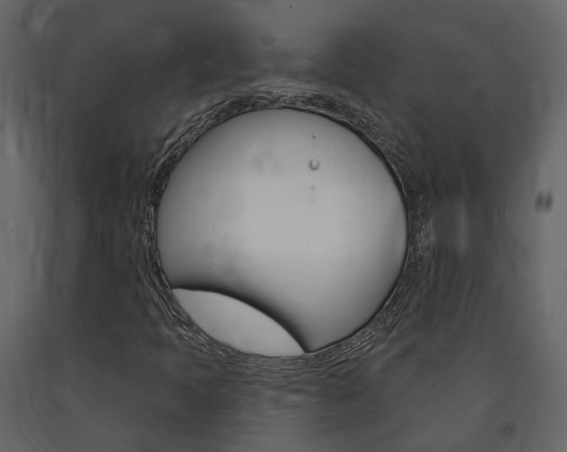 X0000091691397200708231120