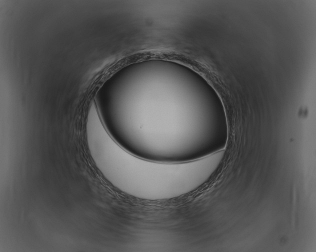 X0000091691398200708231120