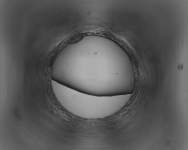 X0000091691399200708231120
