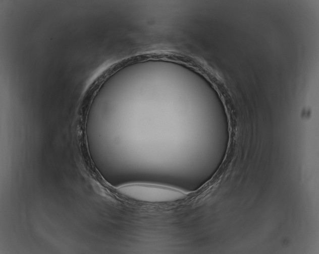 X0000091691400200708231120