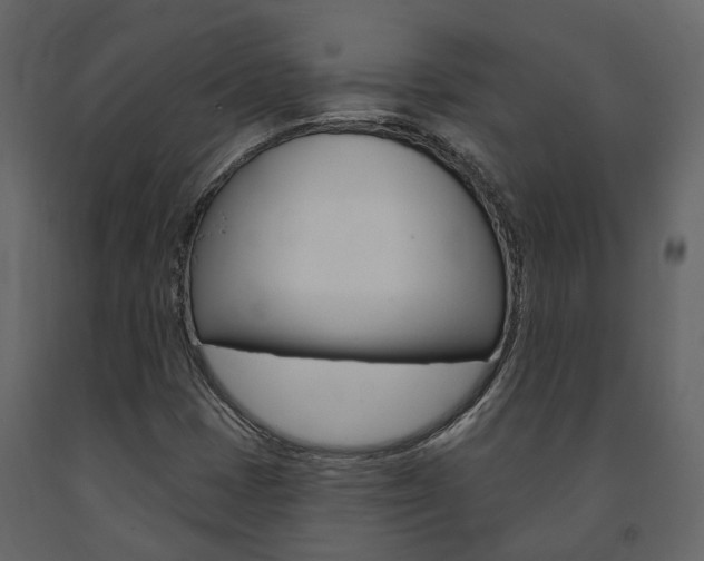 X0000091691401200708231120