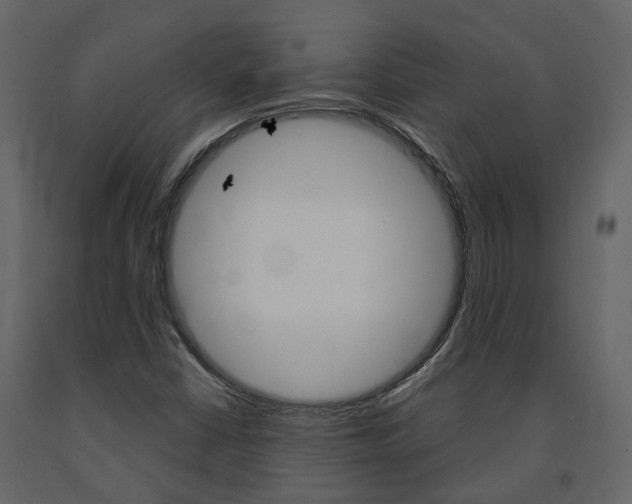 X0000091691402200708231120
