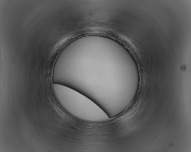 X0000091691403200708231120