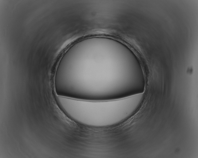 X0000091691404200708231120
