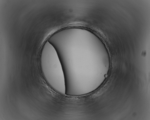 X0000091691405200708231120
