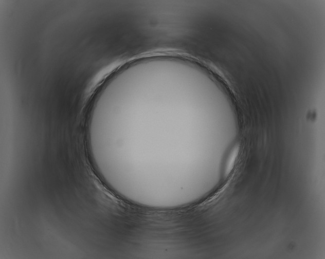 X0000091691406200708231120