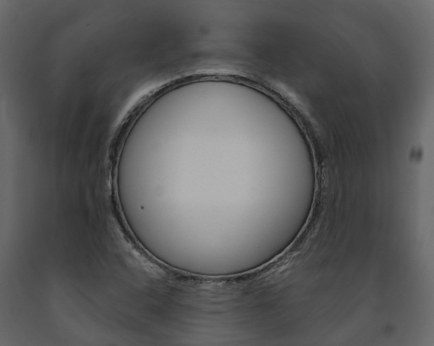X0000091691408200708231120