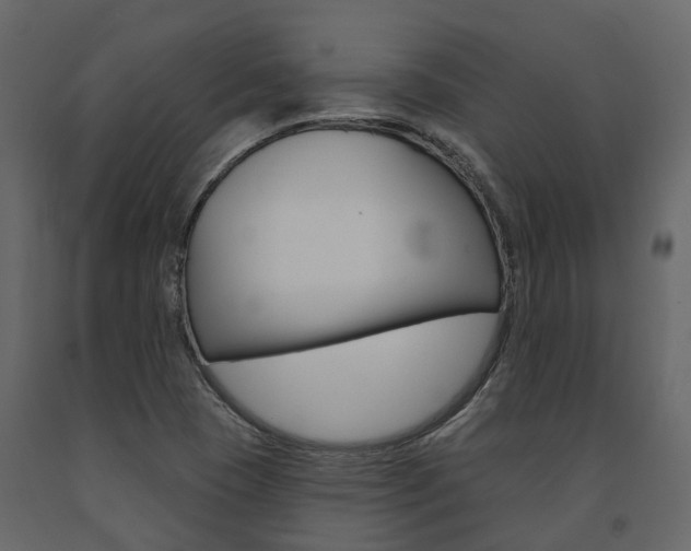X0000091691409200708231120
