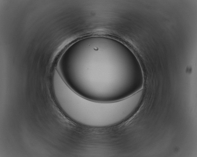 X0000091691410200708231120