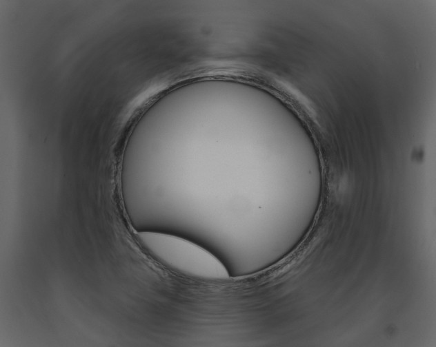 X0000091691411200708231120