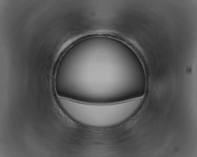 X0000091691412200708231120