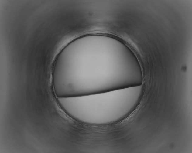 X0000091691413200708231120