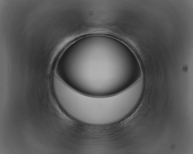 X0000091691414200708231120