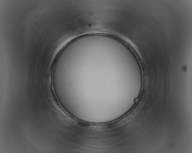 X0000091691415200708231120