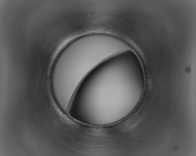 X0000091691416200708231120