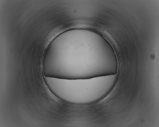 X0000091691417200708231120