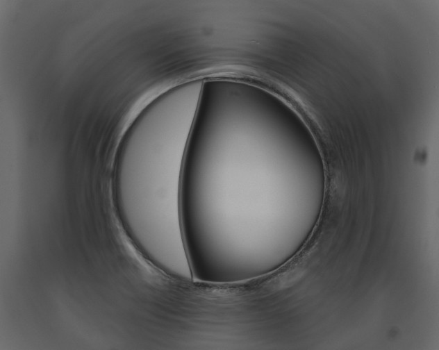 X0000091691418200708231120