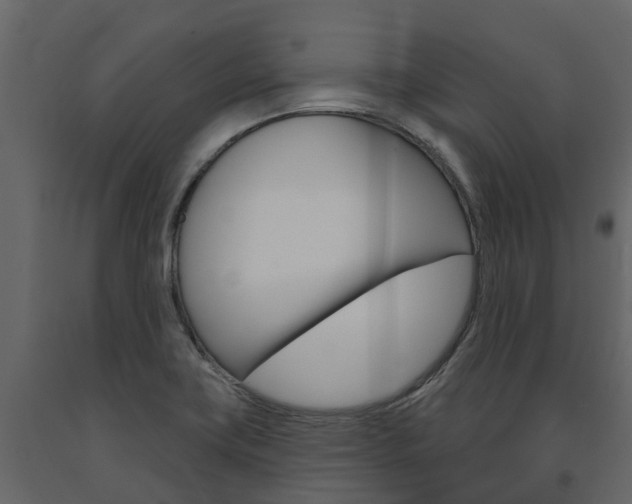 X0000091691419200708231120