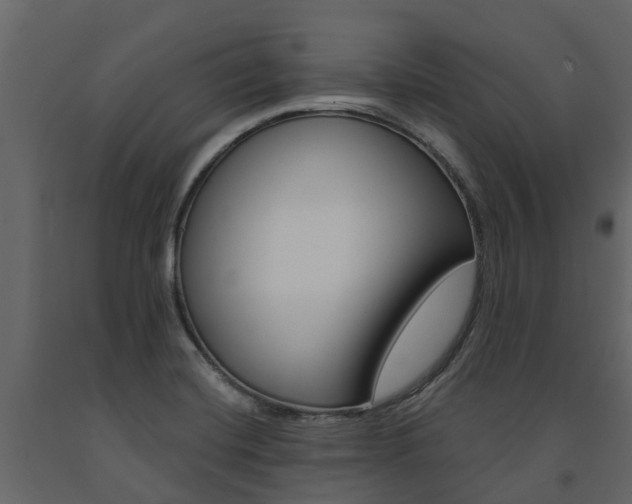 X0000091691420200708231120