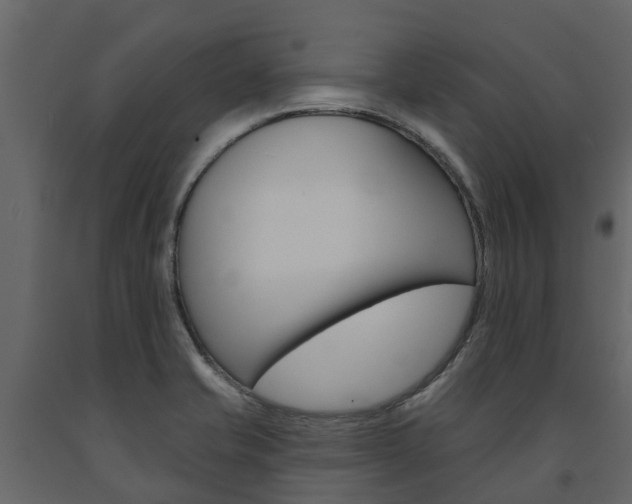 X0000091691421200708231120