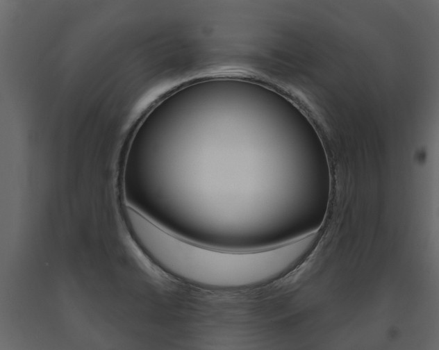X0000091691422200708231120