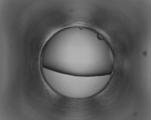 X0000091691423200708231120