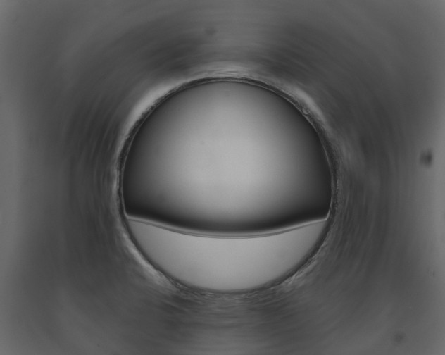 X0000091691424200708231120