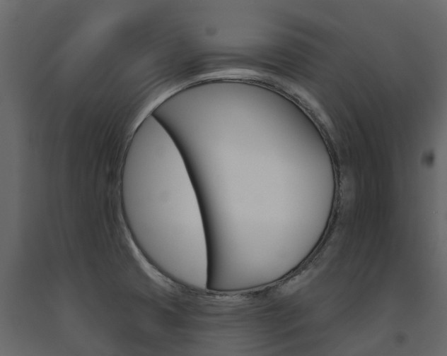 X0000091691425200708231120