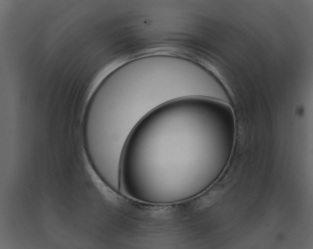 X0000091691426200708231120