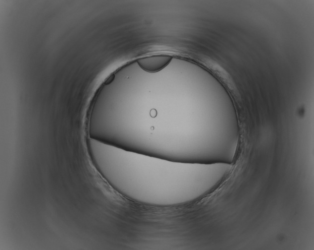 X0000091691427200708231120