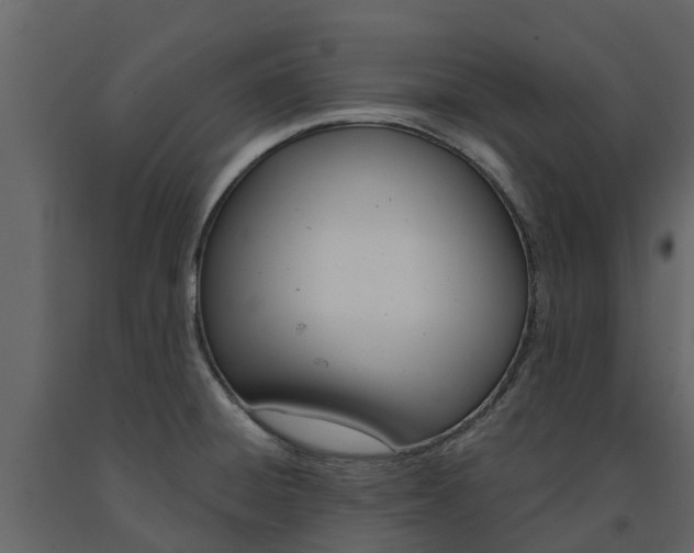 X0000091691428200708231120