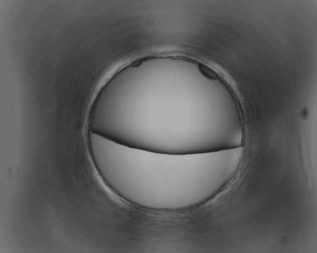 X0000091691429200708231120