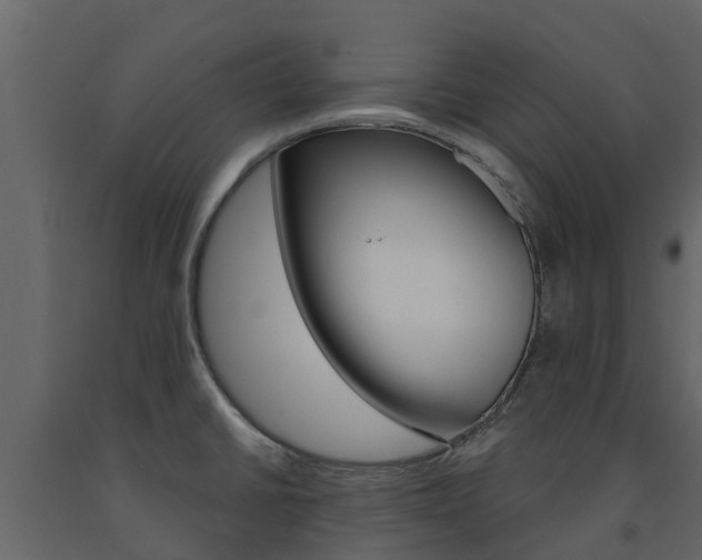 X0000091691430200708231120