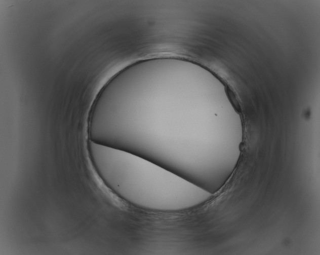 X0000091691431200708231120
