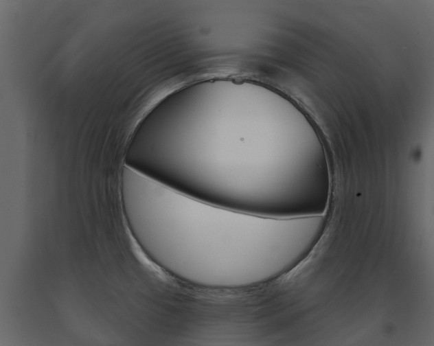 X0000091691433200708231121