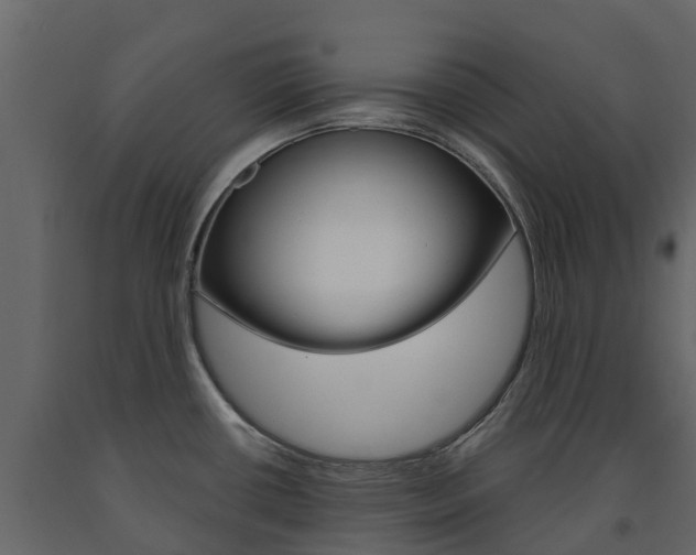 X0000091691434200708231121