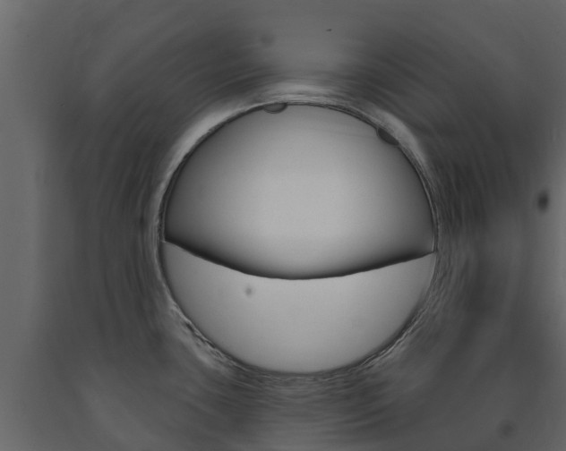 X0000091691435200708231121
