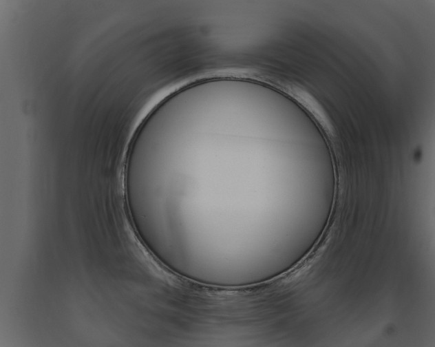 X0000091691436200708231121