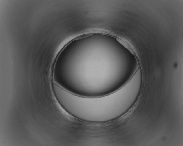 X0000091691438200708231121
