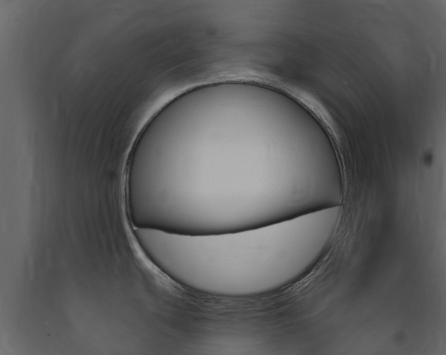 X0000091691439200708231121