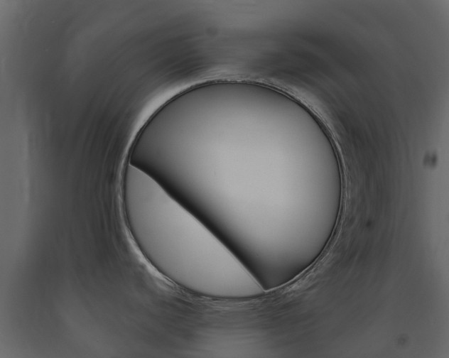 X0000091691440200708231121